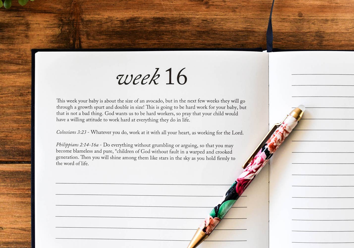 Duncan & Stone Paper Co. - Wholesale Journal/Diary - Maternity - Dear Baby: A Pregnancy Prayer Journal & Memory Book for Moms6