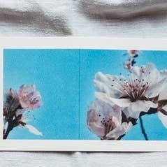 Dubbele ansichtkaart met envelop Liefde voor wholesale door L'OISEAU COMETE