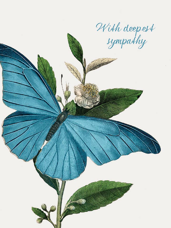 Met diepste medeleven (vlinder) • A-2 wenskaart voor wholesale door P. Flynn Design / Phun House