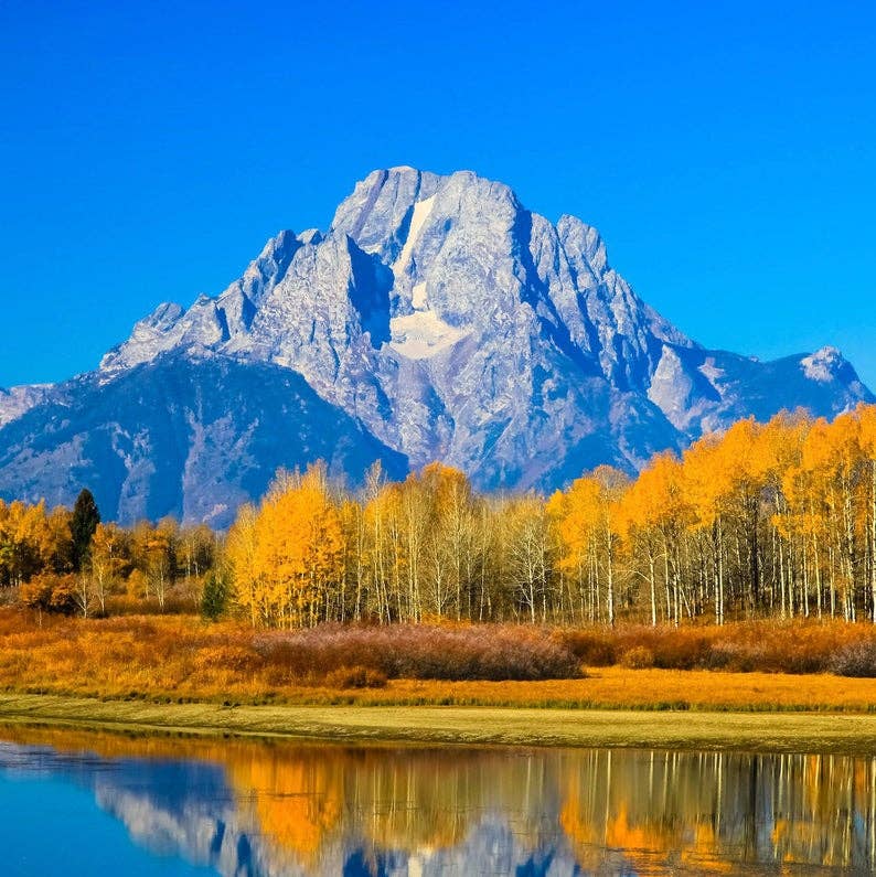 Lamie Wellness - Wholesale Loose Tea - Grand Teaton™ National Park Green Tea5