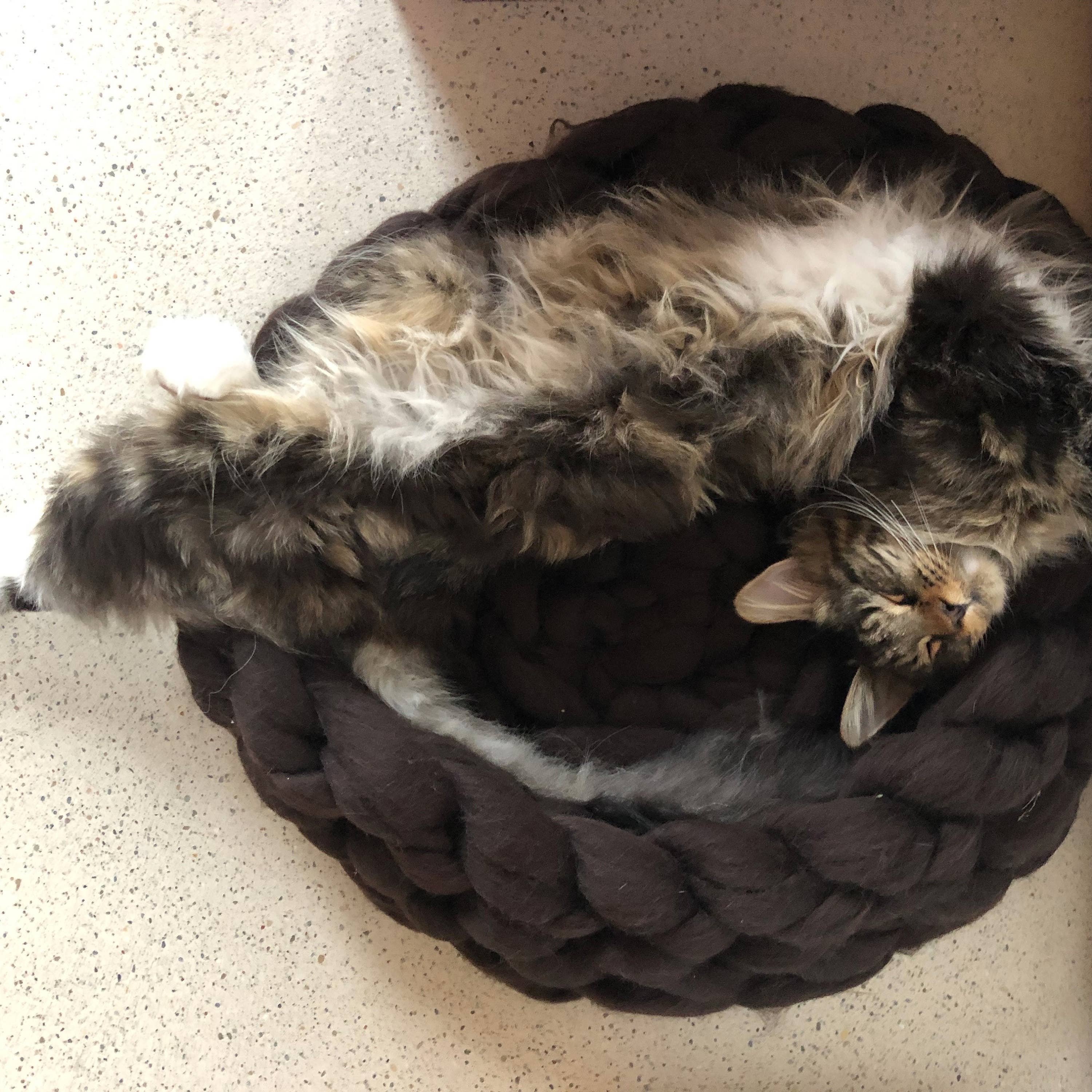 woolexperts - Venta al por mayor Cama - Gatos y perros - Cama para gatos Suministros para gatos Cama para gatos de punto grueso 100% lana merino3