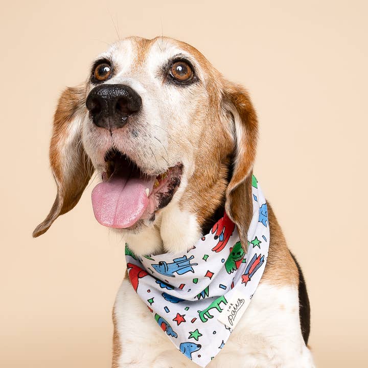 The Paws - Wholesale Pet Bandana - Dog - Coloring Bandana for Kids and AdultsÂ