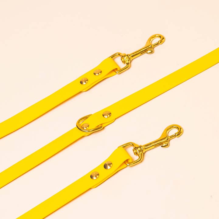 Multi-position leash - Yellow for wholesale by Fidèle Paris