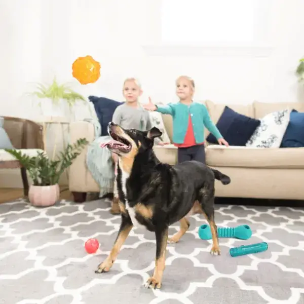 ZippyPaws - Vente Jouet couineur – chien - Ballon sonore ZippyTuff pour chien4