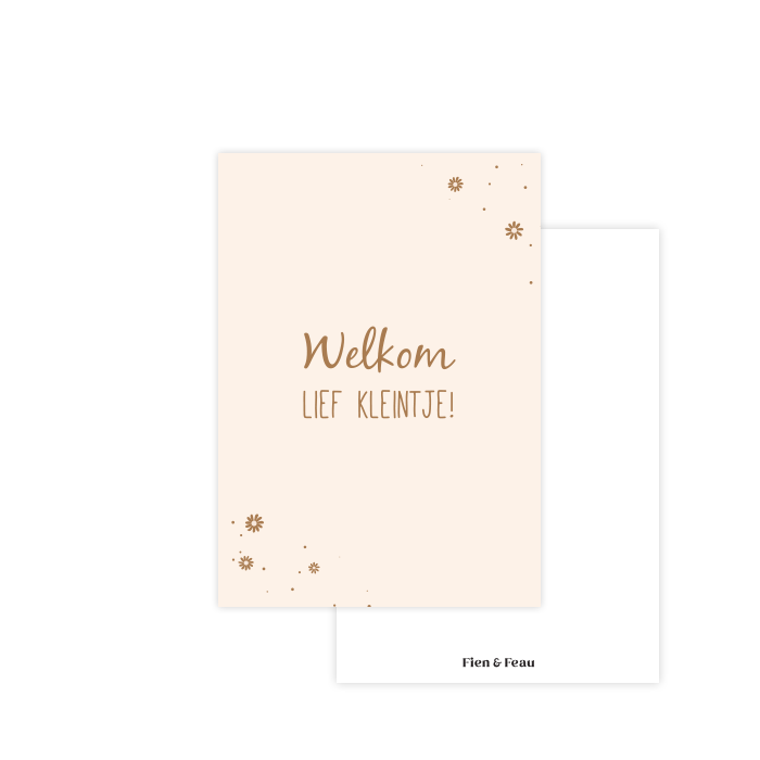 Fien & Feau - Vente Cartes bébé - Carte | Bienvenue petit trésor !0