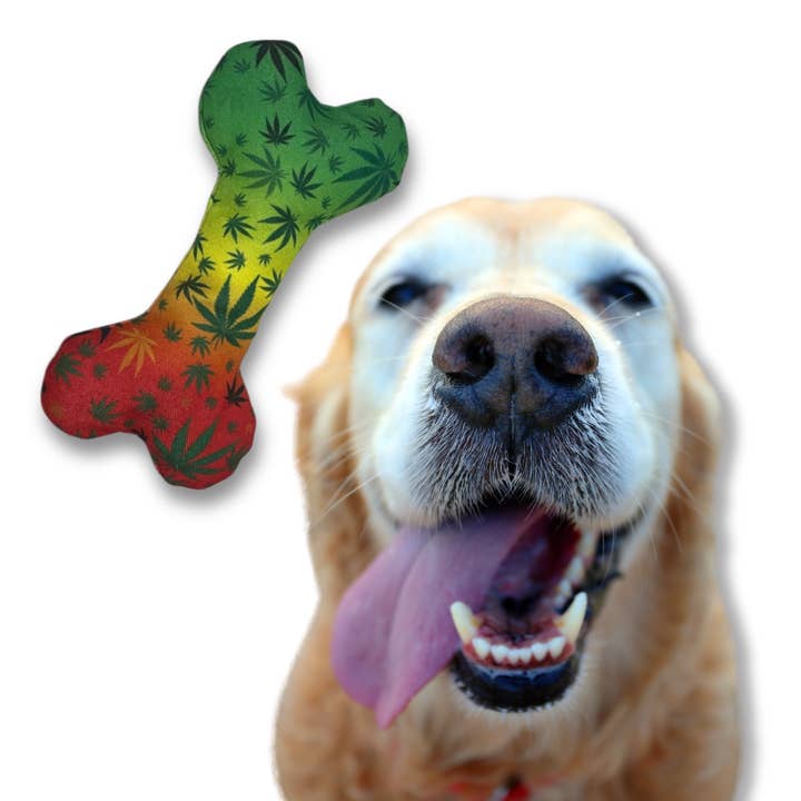 PAW:20 - Wholesale Pet Squeaky Toy - Dog - Stoned to da Bone, Cute Stuffed Rasta Leaf Bone Dog Toy8