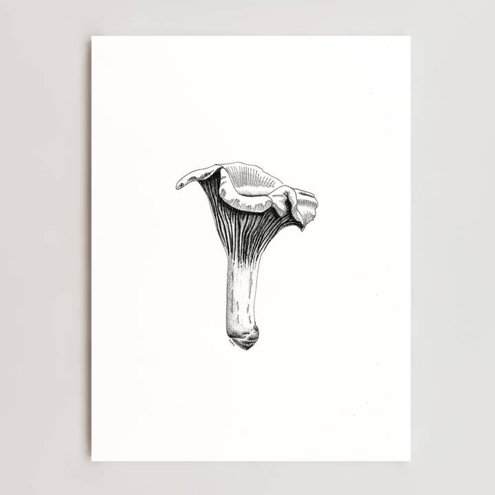 8" x 10" Chanterelle Mushroom Print for wholesale by Koro Illustration