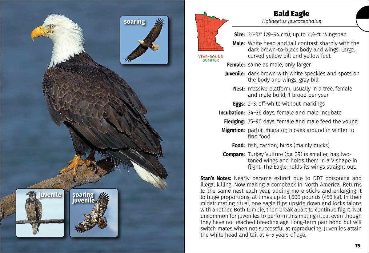 AdventureKEEN - Wholesale Nature & Outdoors - Birds of Minnesota Field Guide 3e2