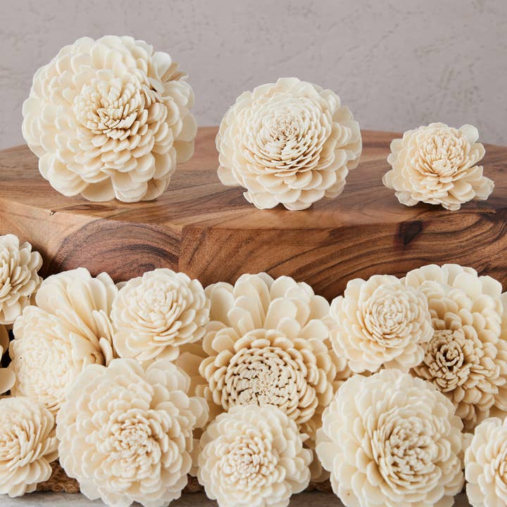 Souci (fleurs en bois de sola) - Assortiment de tailles - Lot de 50 pour la vente par Oh You're Lovely