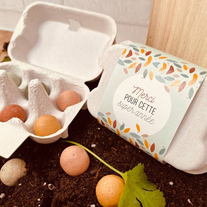 Caja de bolas de flores para plantar - Gracias por un año estupendo para venta al por mayor de La vie en magenta