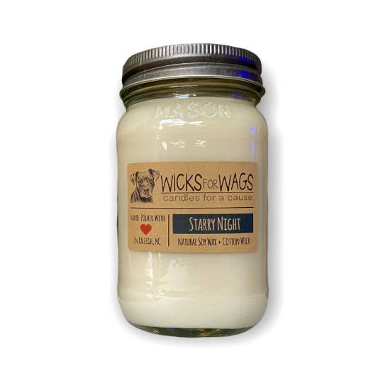Starry Night | Large Mason Jar Soy Candle for wholesale by Wicks for Wags