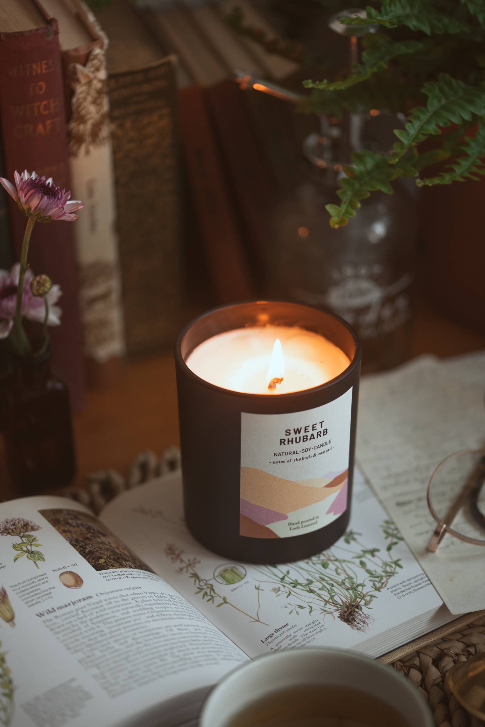 Ocoee House – wholesale Jar/filled candle – Sweet Rhubarb, Organic & Vegan Scented Candle | Ocoee House4