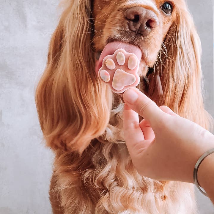 Cooka's Cookies - Wholesale Pet Treats - Dog - Ice-cream Mix with real chicken & strawberry for pets7