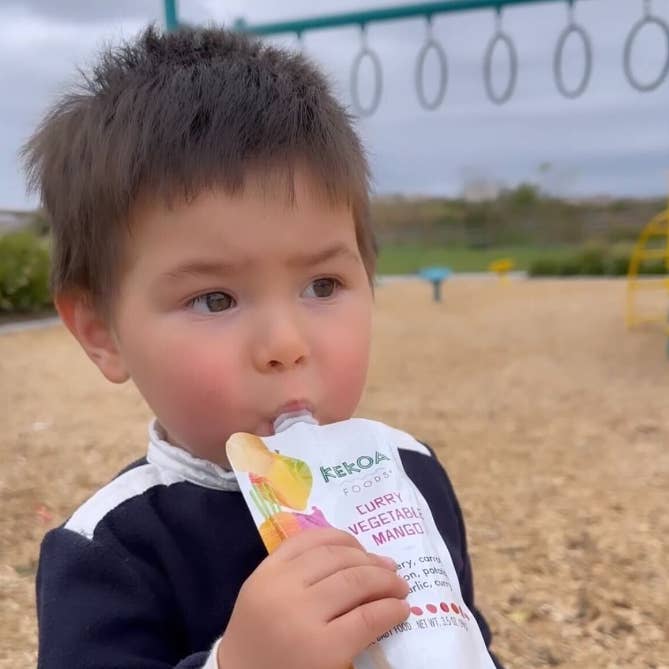 Kekoa Foods - Wholesale Baby Food - Curry Vegetable Mango Squeeze Pouch, 100% Organic Vegetarian Baby Food Purée5