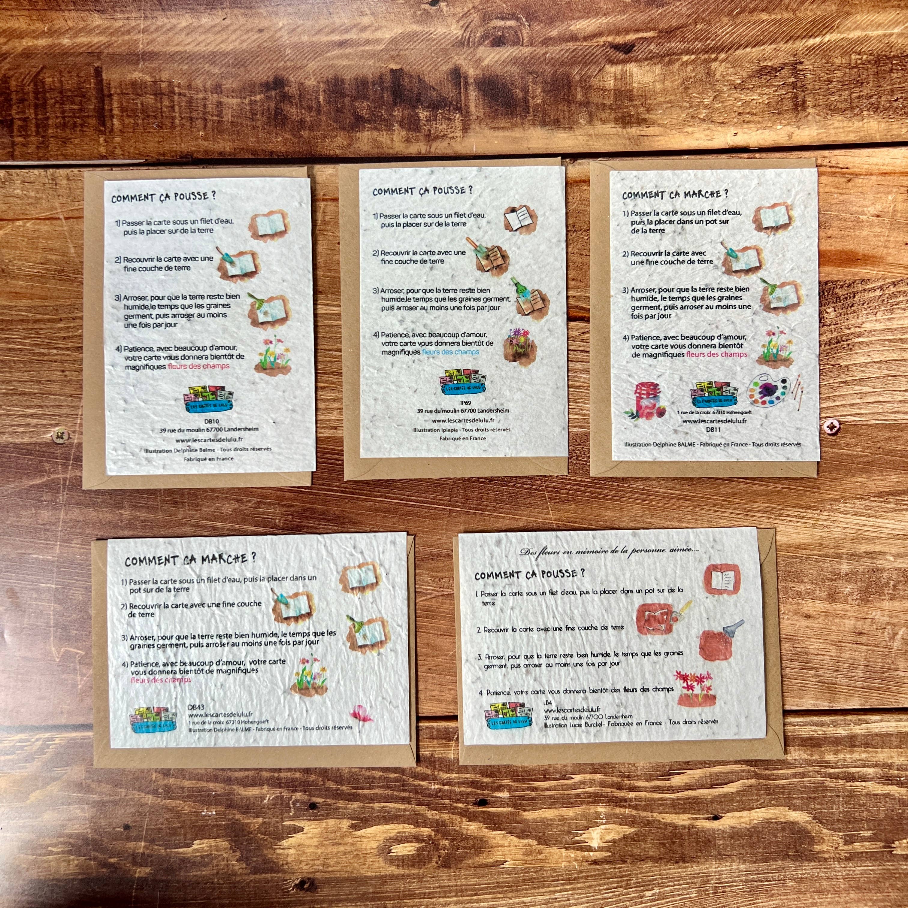 Les cartes de Lulu - Wholesale Gewone wenskaart - Plantbare kaarten voor bruiloft, geboorte, pensioen, condoleance...4
