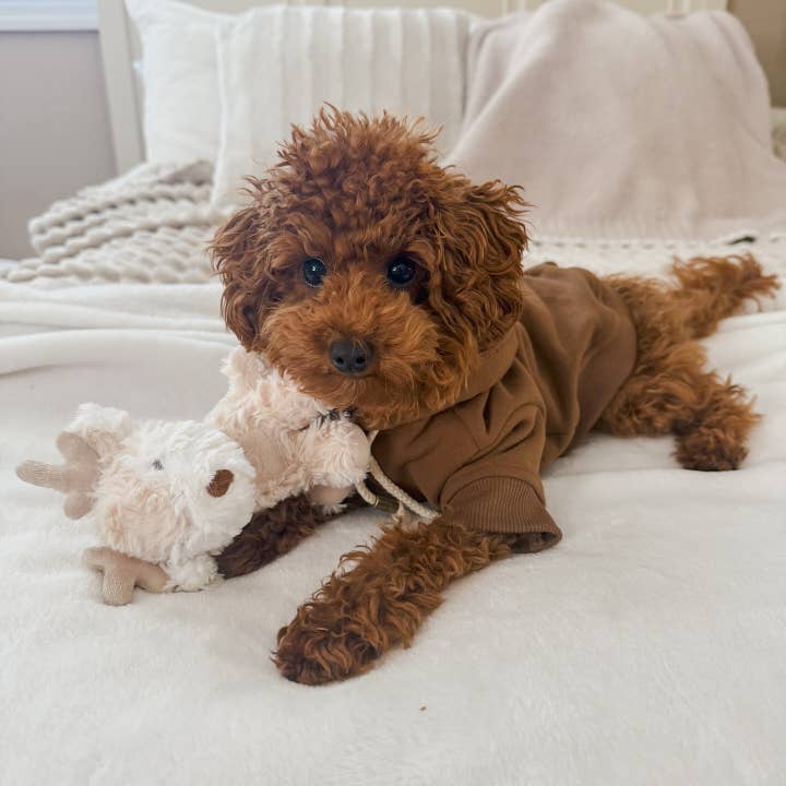 Fur Elise Pets - Wholesale Pet Plush Toy - Dog - Koko Mini Plushie10