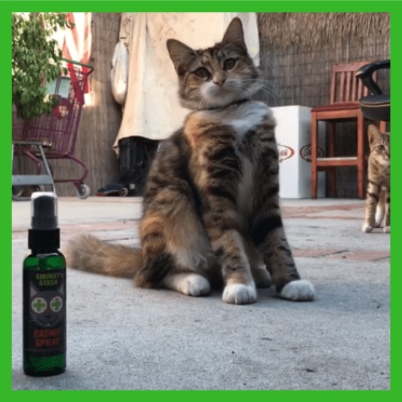 Smokey's Stash - Wholesale Catnip - Smokey's Stash Catnip Spray 2oz Bottle4