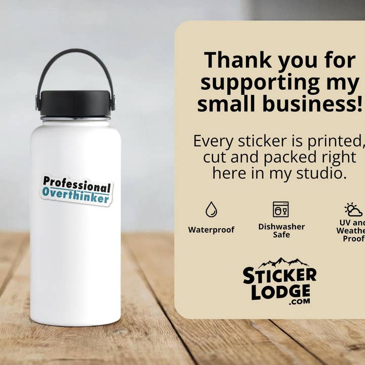 Sticker Lodge - Wholesale Phone & Laptop Stickers - Professional Overthinker Vinyl Sticker4