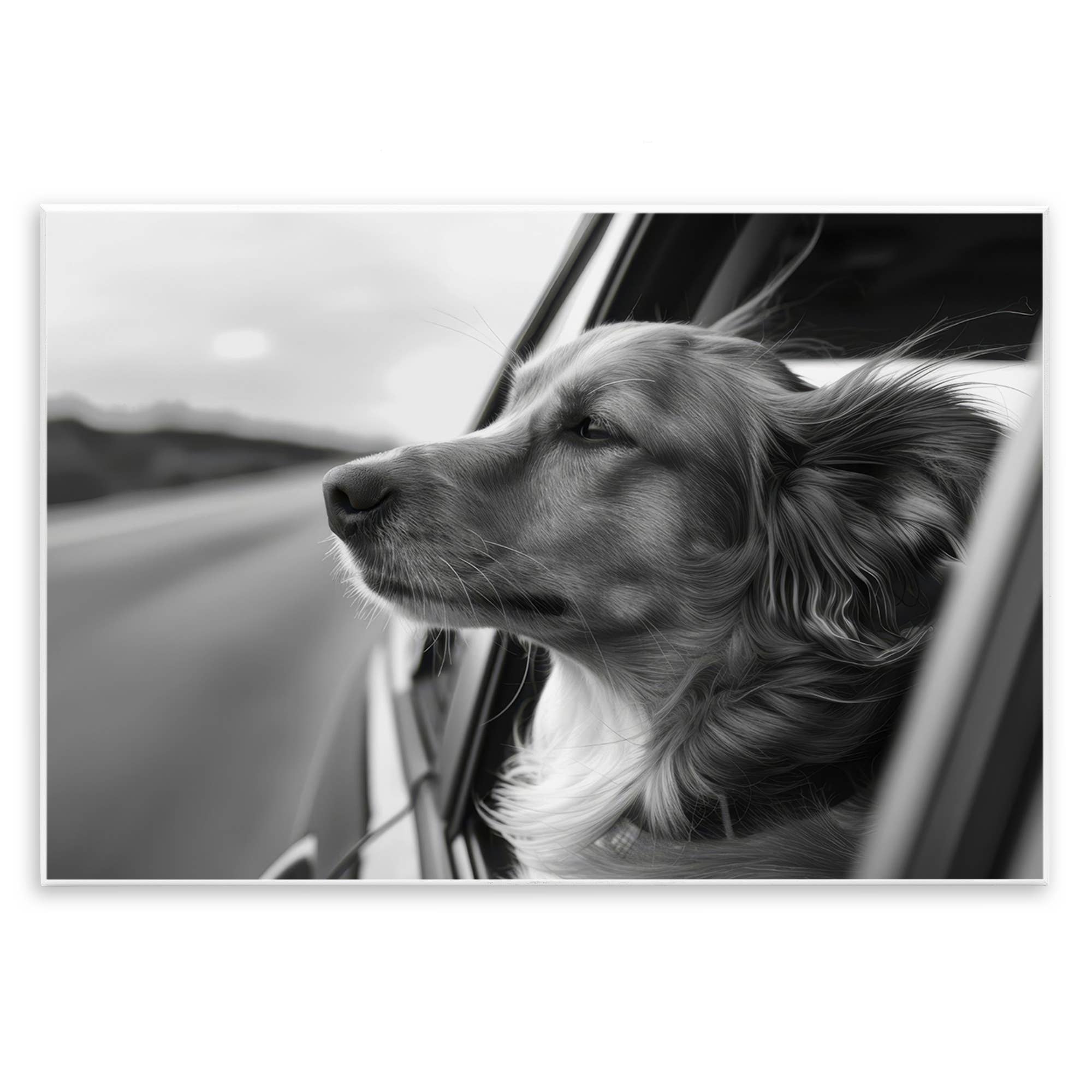 Stupell Industries - Wholesale Wall Sign - Dog Out Car Window - Unframed Wall Art0