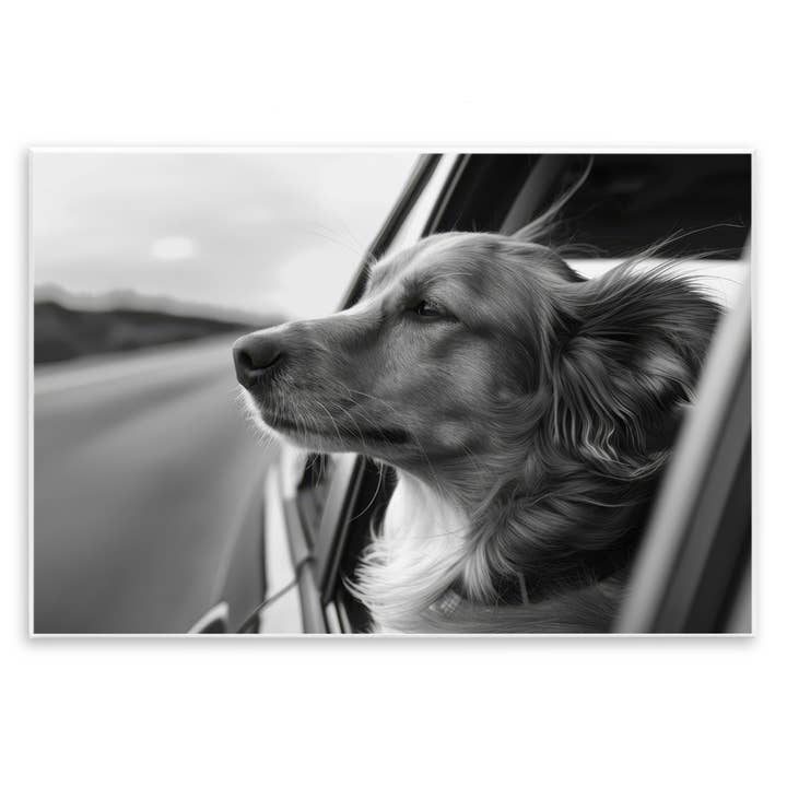 Stupell Industries - Wholesale Wall Sign - Dog Out Car Window - Unframed Wall Art