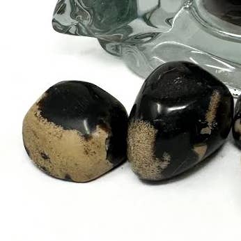 Blue Amber Small Size - 1 pc for wholesale by The Crystal Tabby