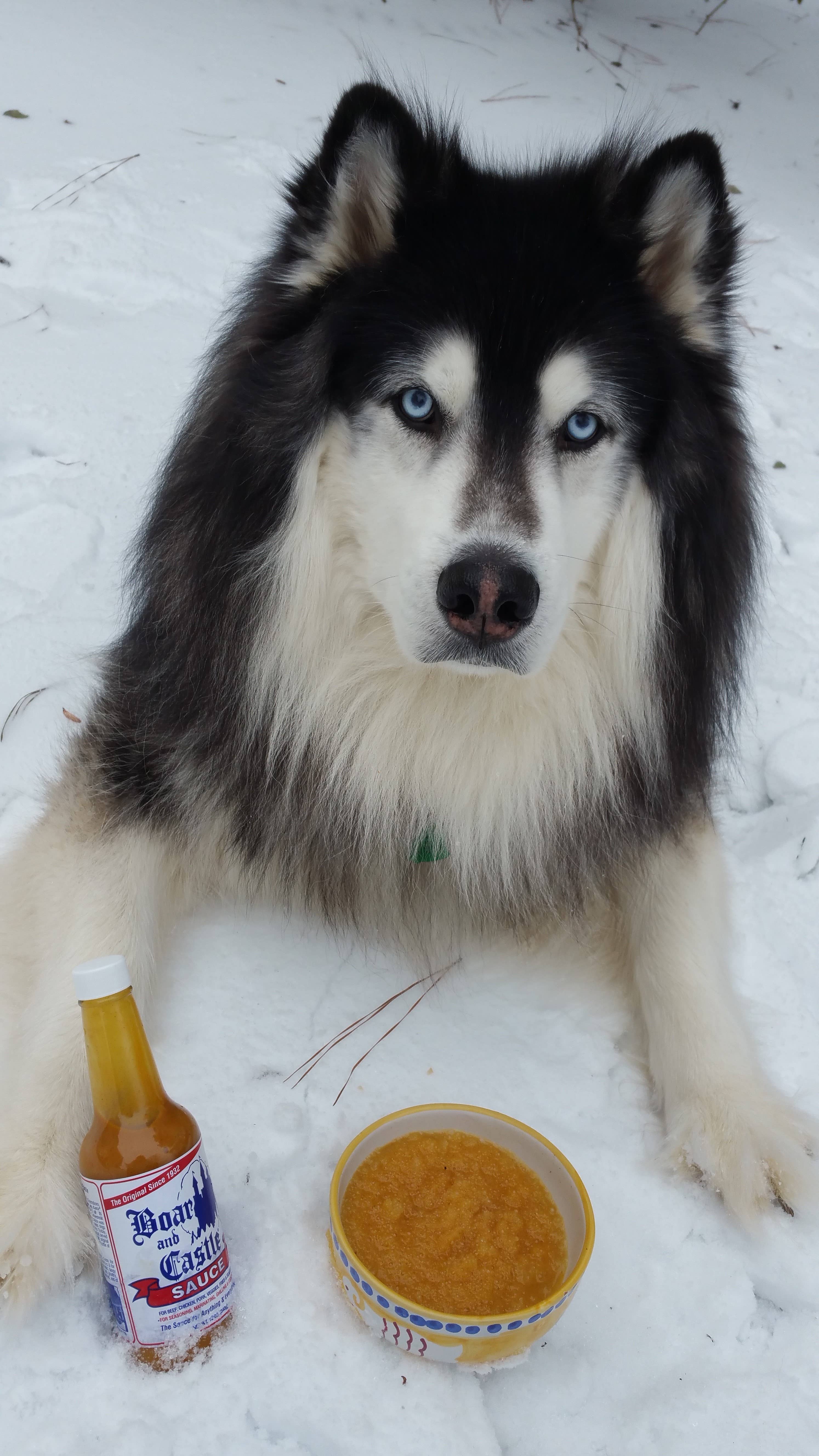Boar and Castle Sauce – Großhandel Soße – Wildschwein und Schlosssoße 6 Unzen10