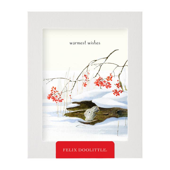Rabbit Hollow - Biglietti natalizi in scatola per la vendita all'ingrosso da parte di Felix Doolittle
