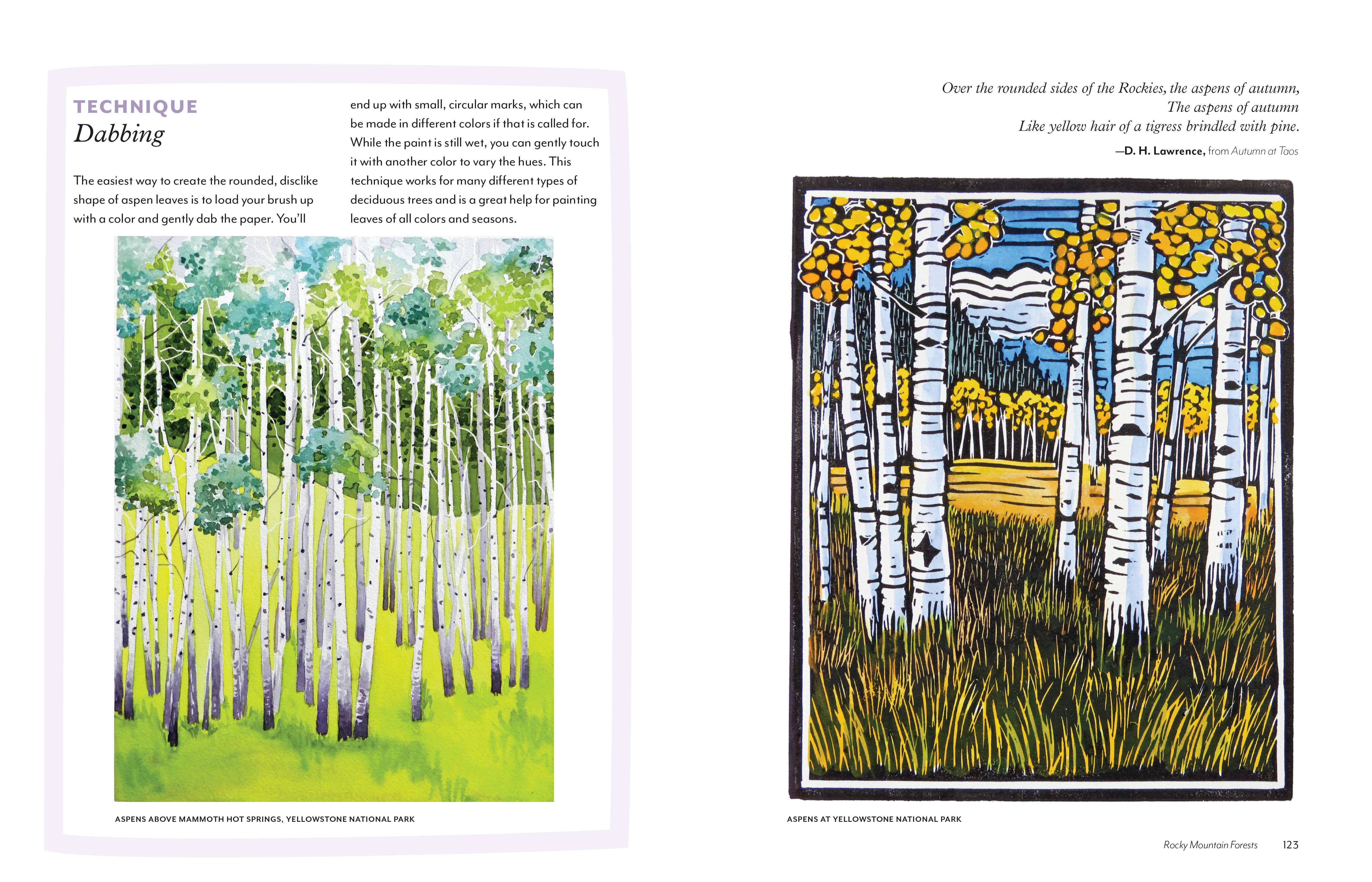 Mountaineers Books - Wholesale Nature & Outdoors - Trees of the West: An Artist's Guide5