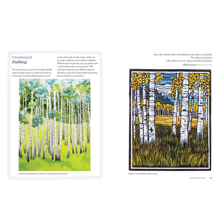 Mountaineers Books - Wholesale Nature & Outdoors - Trees of the West: An Artist's Guide5