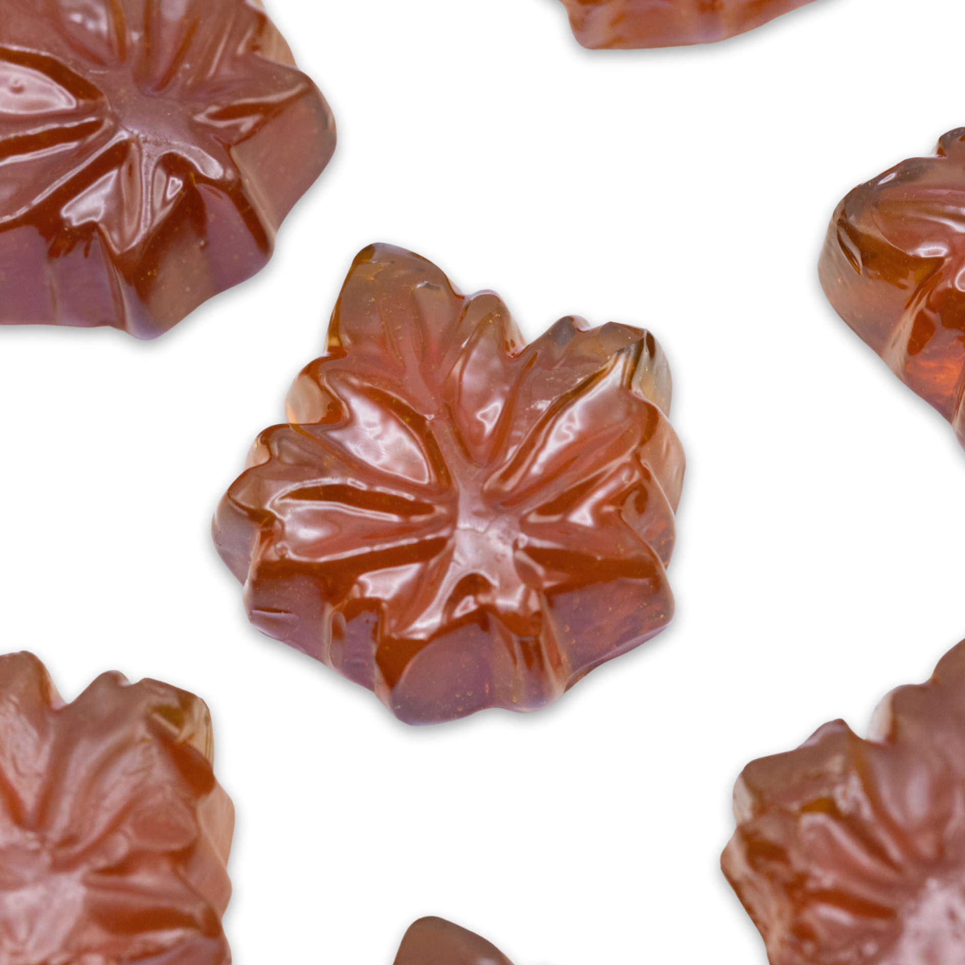Twin Leaf Farms - Wholesale Hard Candy - Maple Drops0