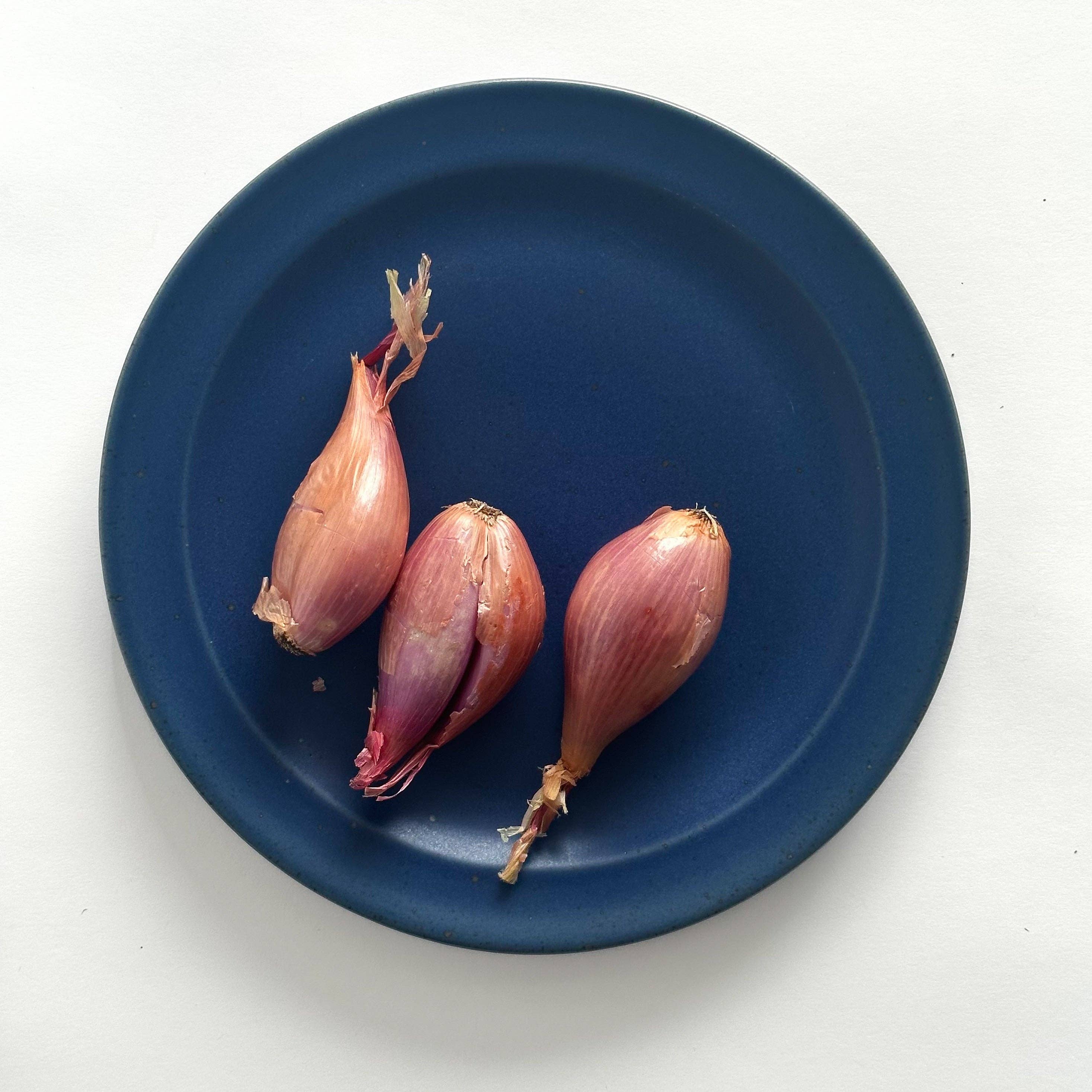 Sarah Kersten - Vente Assiette - Assiette à déjeuner : Collection classique13