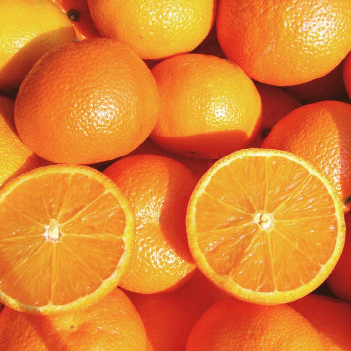 NTRL by Sabs - Wholesale Lip Balm - .33 oz Natural Lip Balm #4T Sweet Orange