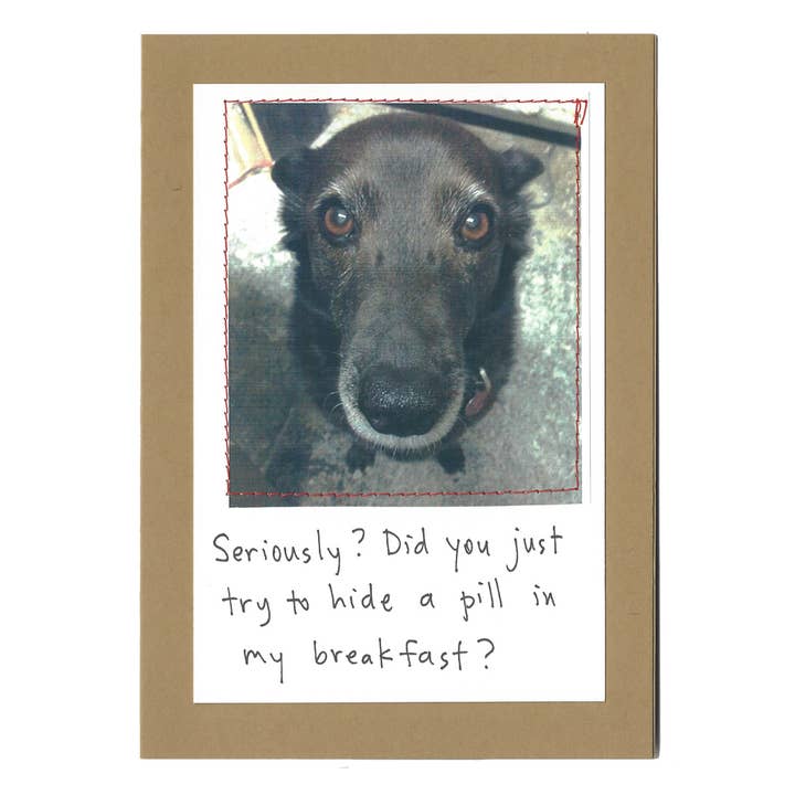 "Did you really just try to hide a pill in my breakfast?" for wholesale by Visual Treats