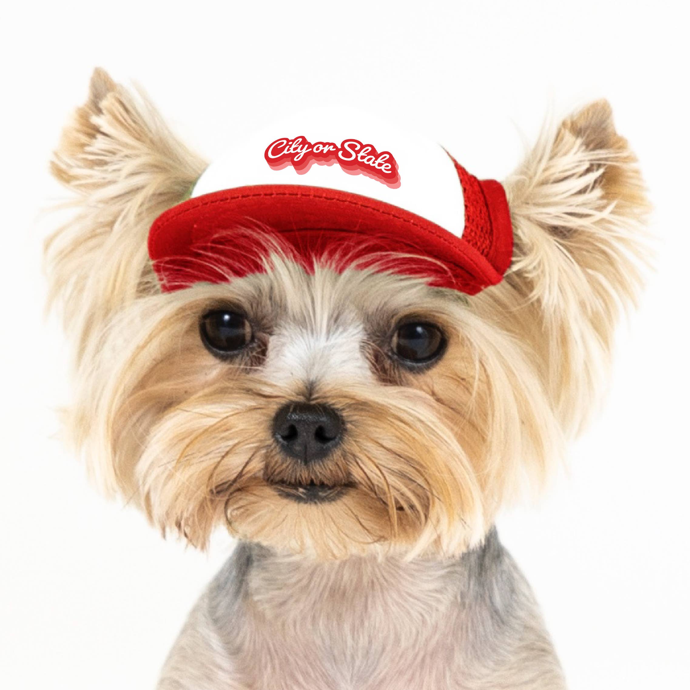 PupLid - Wholesale Pet Hat - Dog - Custom Retro Text | Trucker Hat for Dogs0