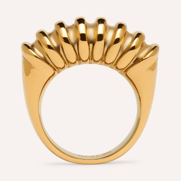 Maathai Statement Ring for wholesale by COLURi