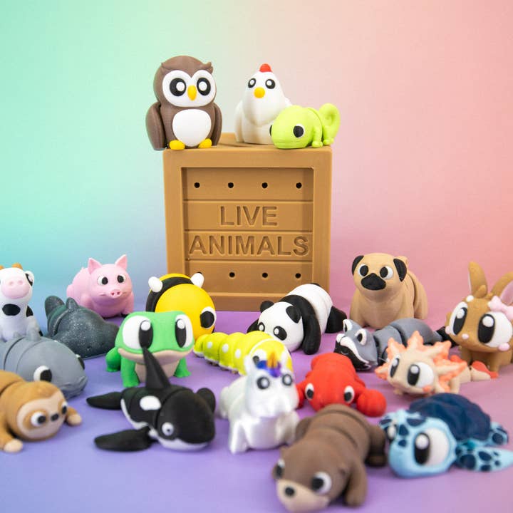 Super Fantastic – Brinquedo Fidget - Crianças por atacado – Pocket Pal: Caixa de Sortido Aleatório10