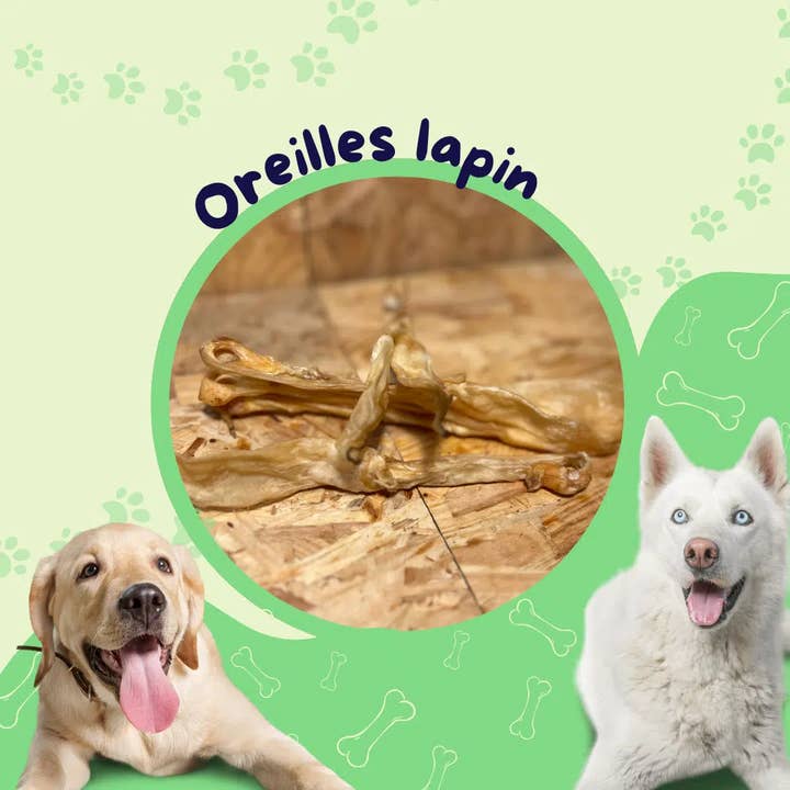 rabbit ears / dog treat for wholesale by JF animalerie