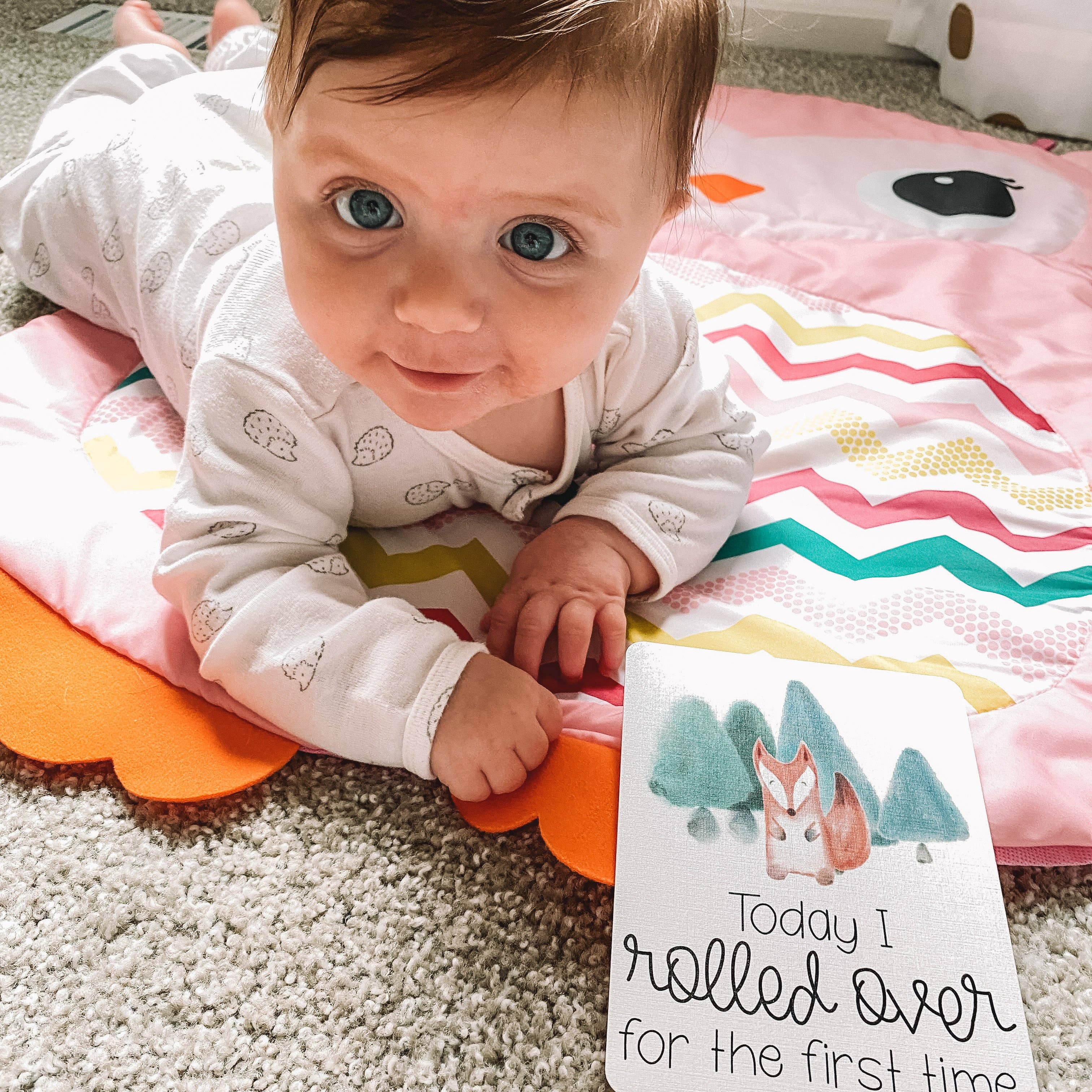 This Little Love Co - Wholesale Milestone Art/Keepsake - Kids & Baby - Baby Milestone Cards - Woodland Animals6