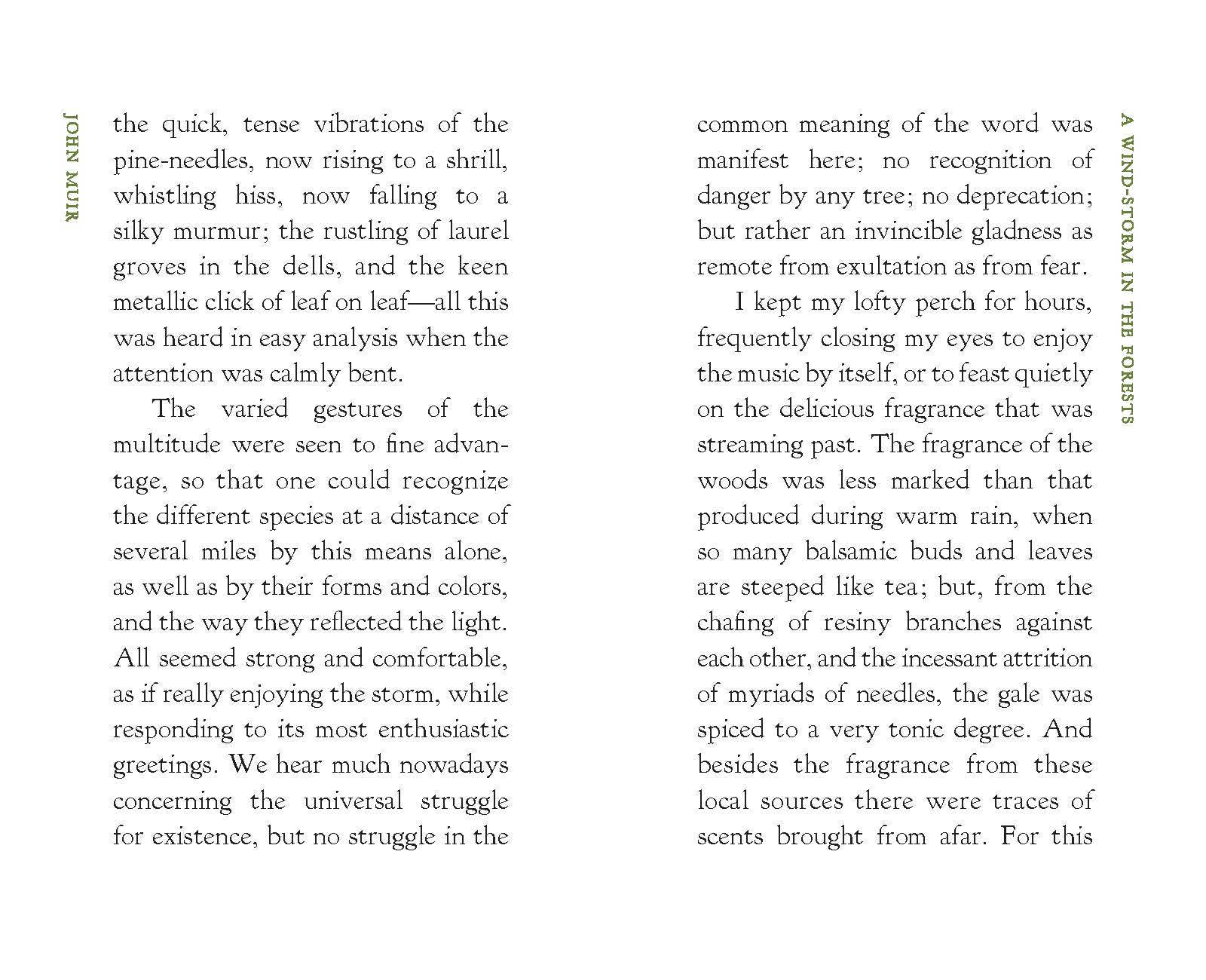 Applewood Books - Wholesale Nature & Outdoors - A Wind-Storm in the Forests4