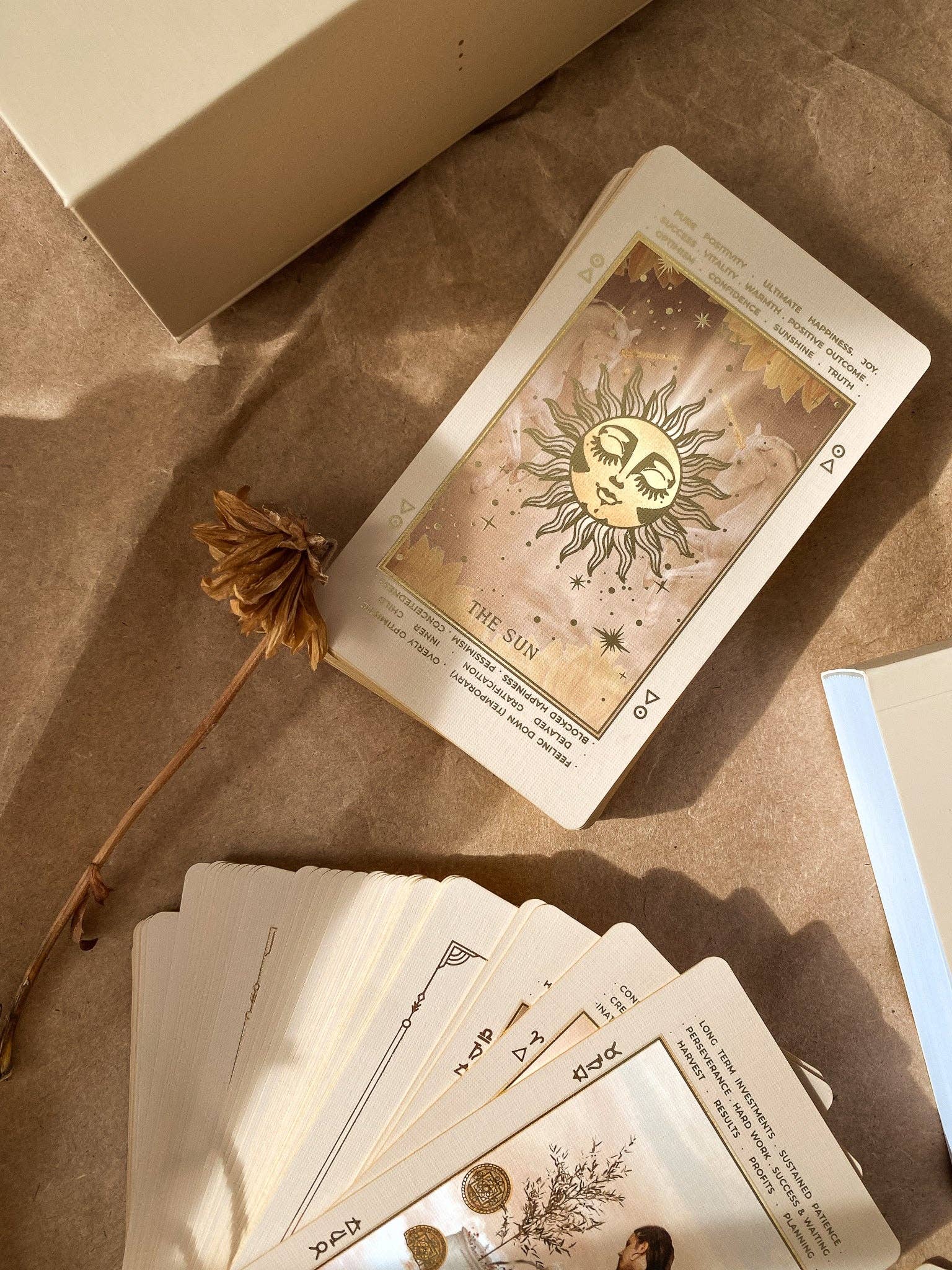 ST SOLEIL - Wholesale Tarot Cards - Lucid Dreams Beginners Tarot Deck ED IV, Beige25