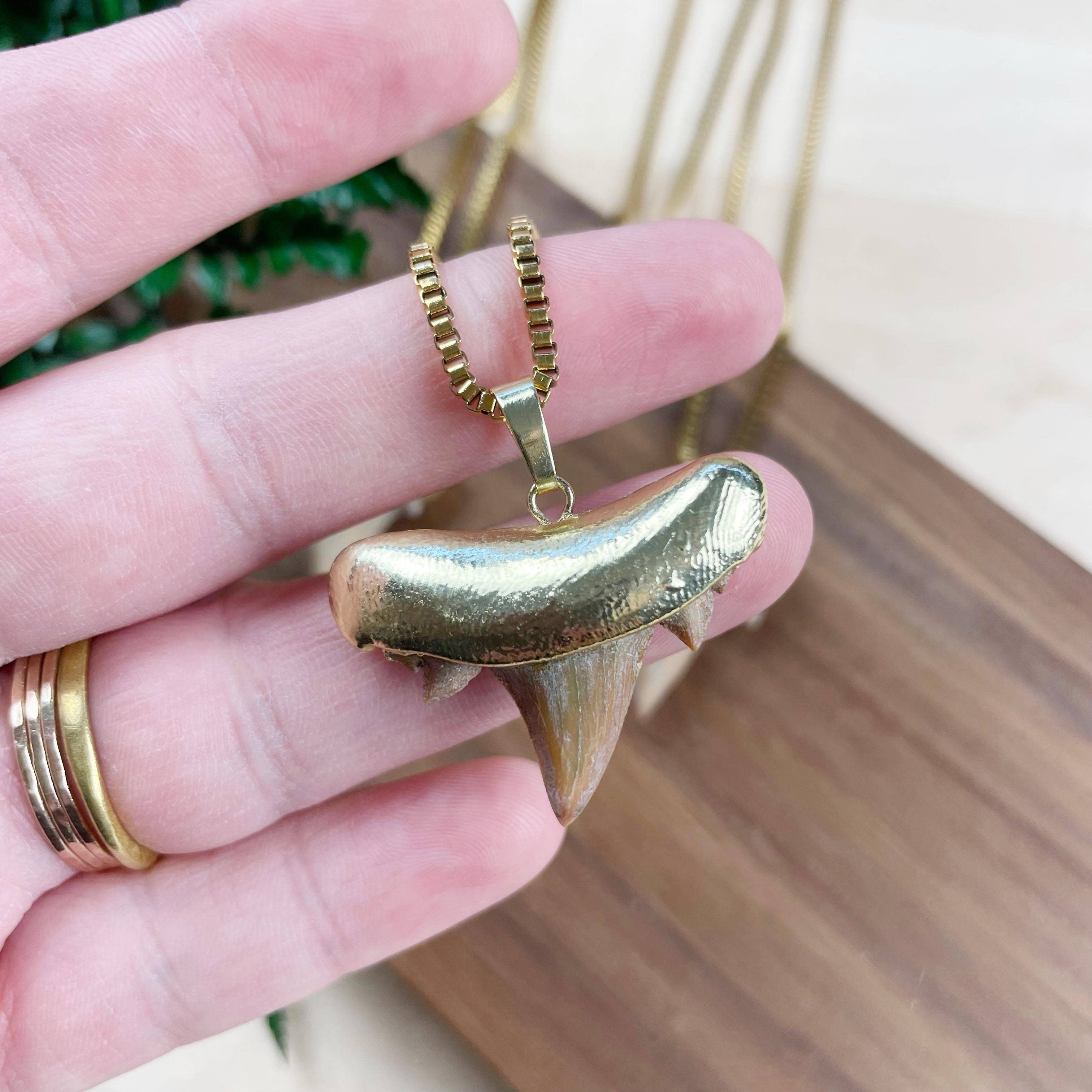 Ewelina Pas Jewelry – Engroshandel Halskæde med vedhæng – Halskæde med guldbelagt hajtand2