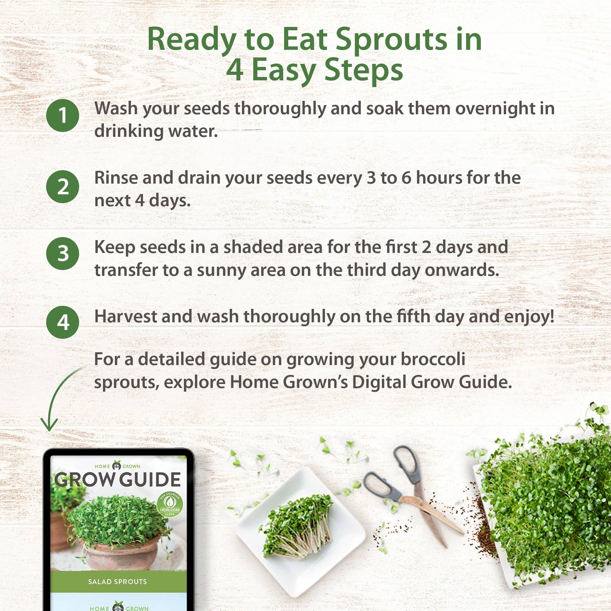 Homegrown Garden - Wholesale Plant Seeds - Sprouts and Microgreens Seeds Bulk Mix (16oz)7