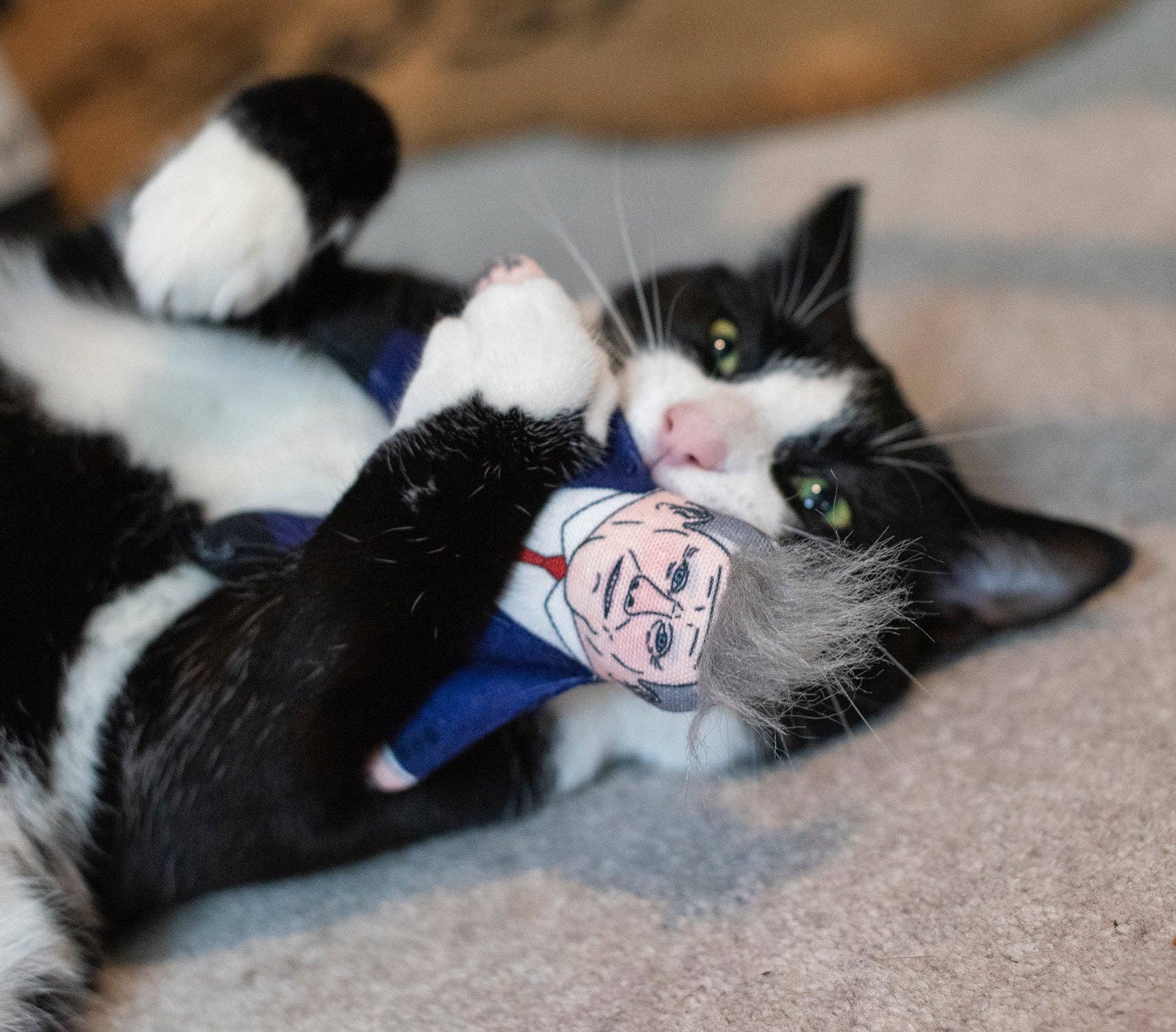 Pet Hates Toys - Wholesale Pet Toy - Cat - Keir Starmer cat toy2