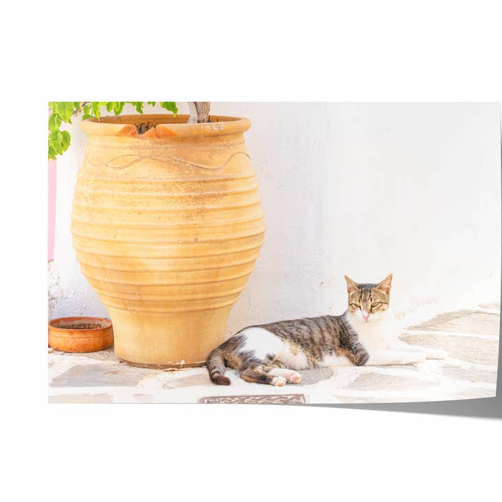 Chat grec II | Tirage photographique d'art pour la vente par Natasha Riha Photography