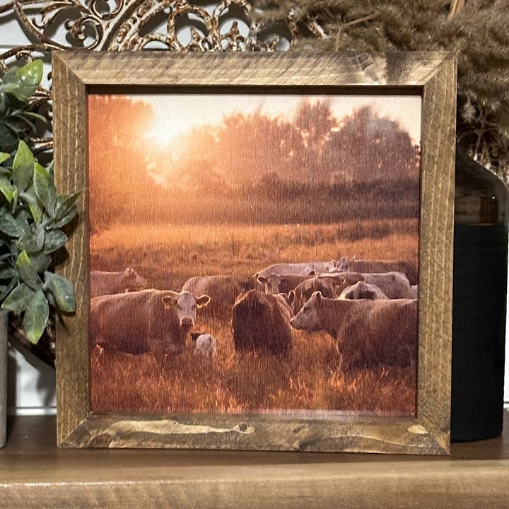 Cattle on the prairie for wholesale by The Broken Board