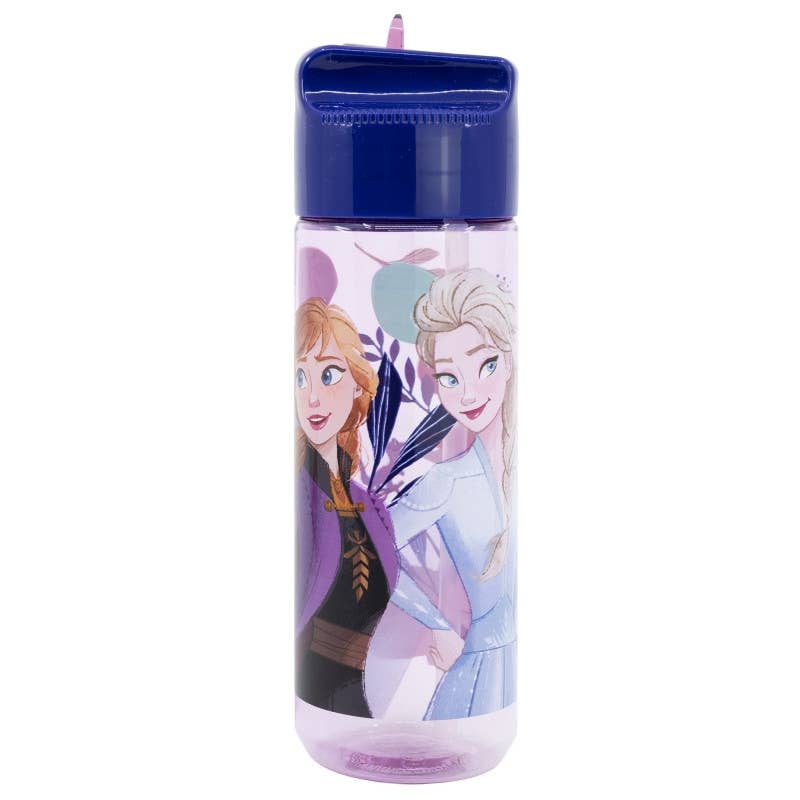 Evidence - Wholesale Water Bottle - Disney Frozen Hydro Plastic Bottle - 540 Ml0