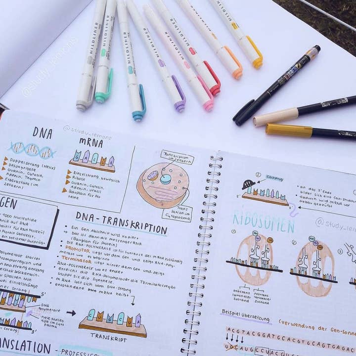 LULUFUNSTUDIO - Wholesale Highlighter - Zebra Pen Mildliner Double Ended Highlighter and Bullet Tip