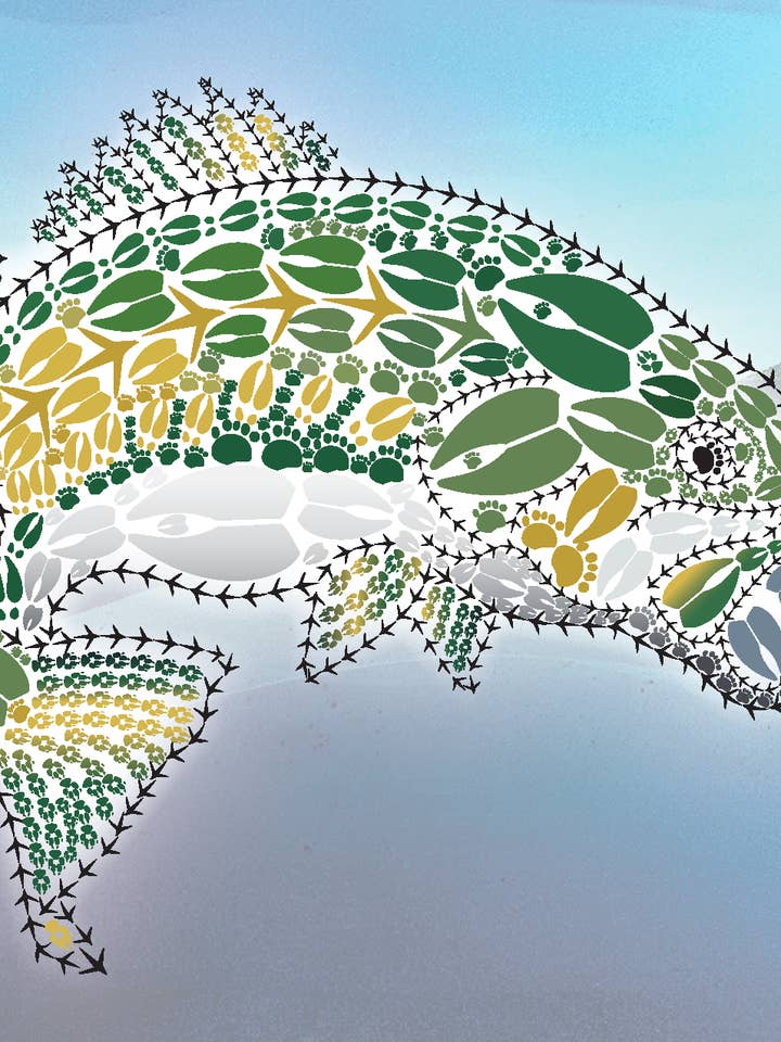 Largemouth Bass Stationery for wholesale by Bold Spark Design & Stationery