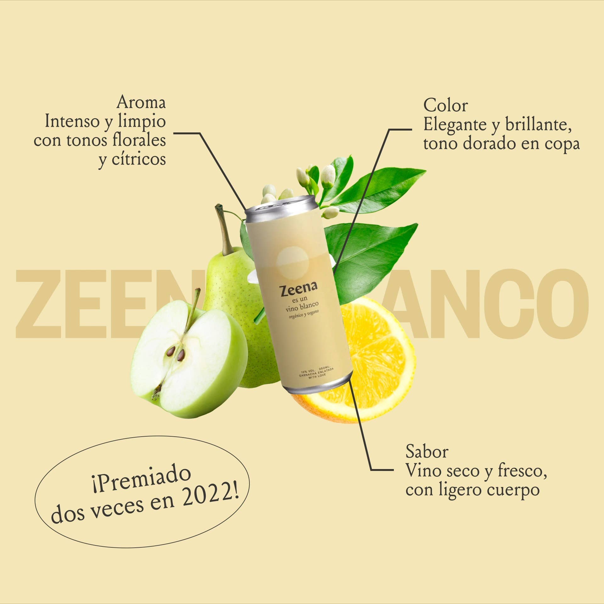 Zeena – Großhandel Weißwein – Bio Weißwein in der Dose (24 Dosen à 250 ml)4