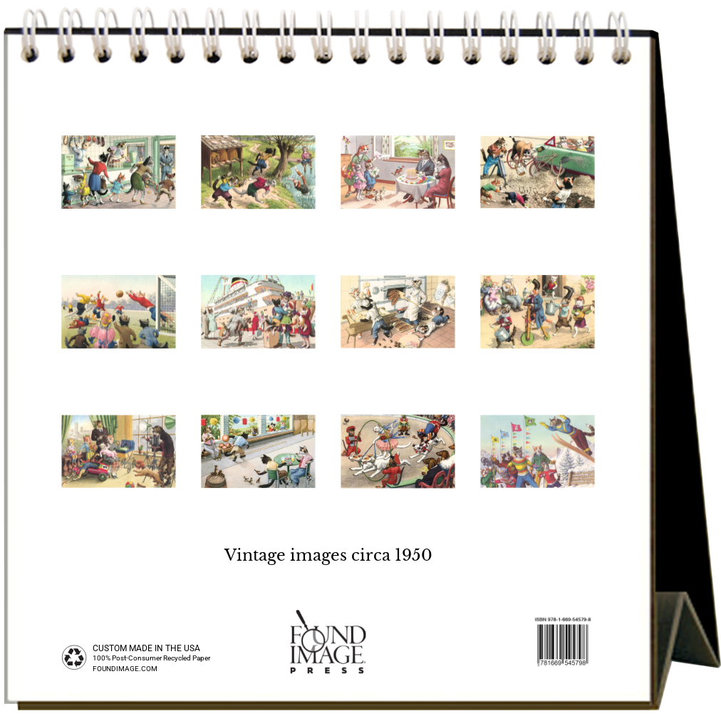 Found Image Press - Vente Calendrier - Chats fous ! Calendrier de bureau 20261